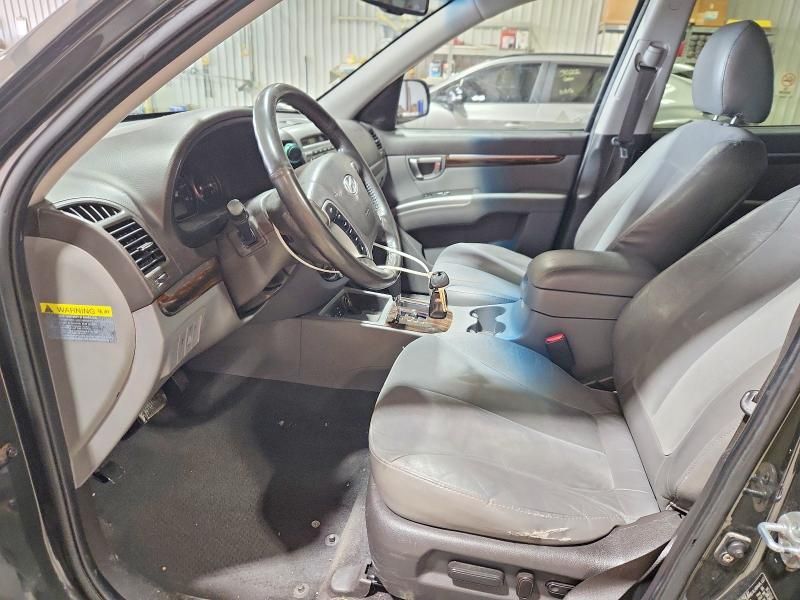 2010 Hyundai Santa fe se