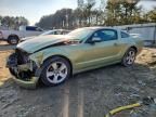 2006 Ford Mustang gt