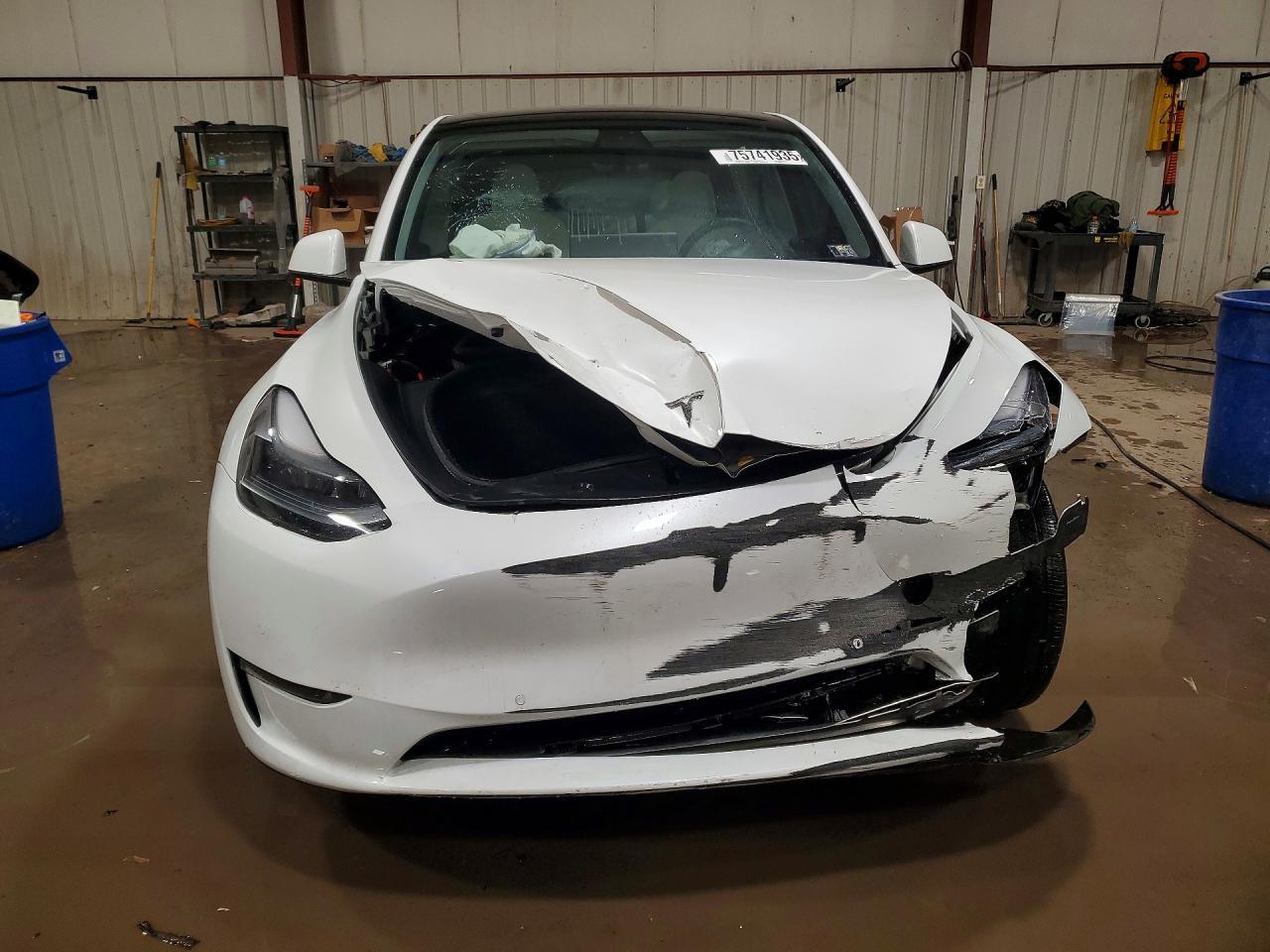 2020 Tesla Model y