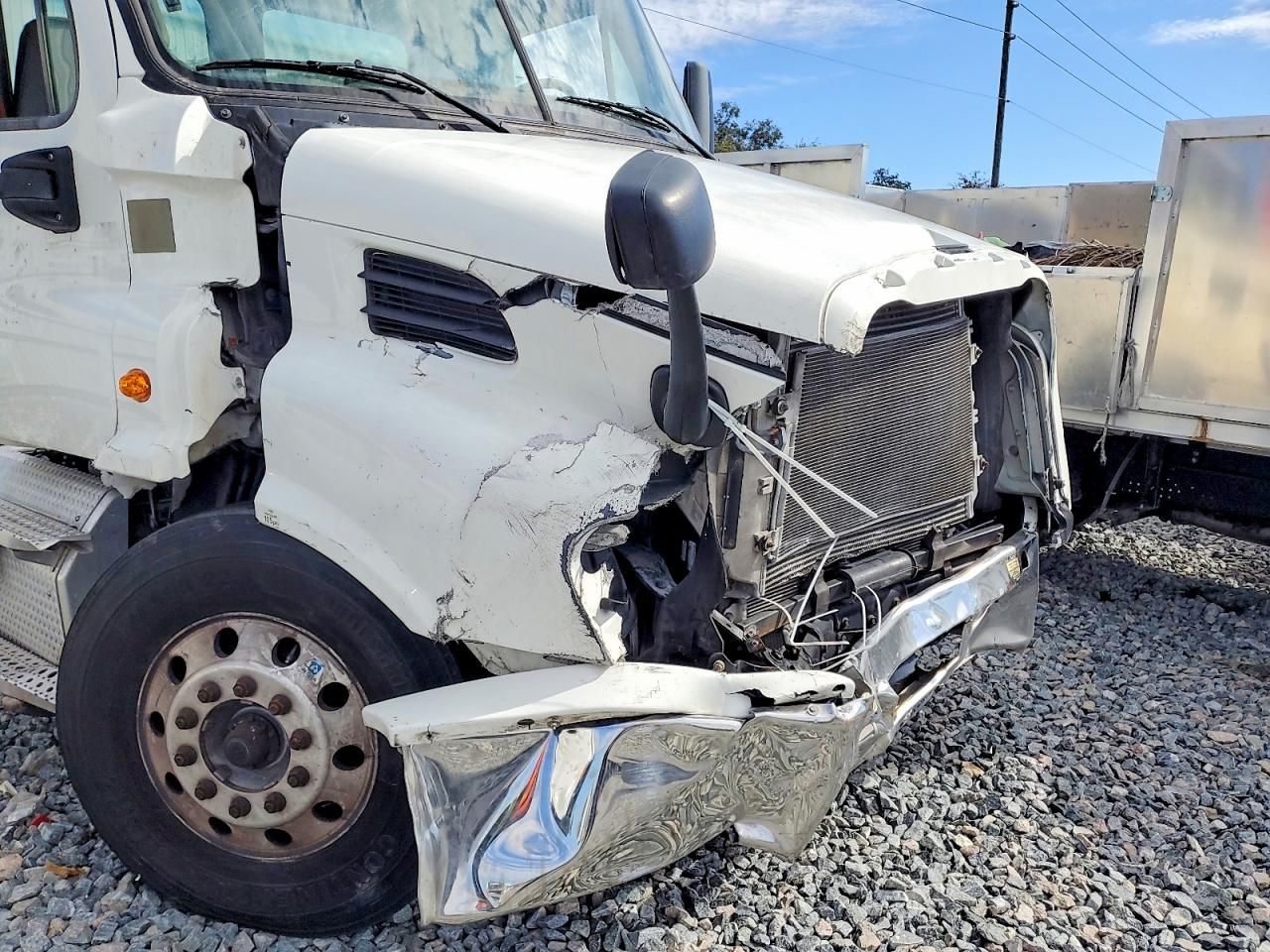 2020 Freightliner Cascadia 113 Semi Truck