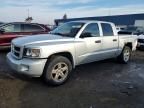 2008 Dodge Dakota sxt