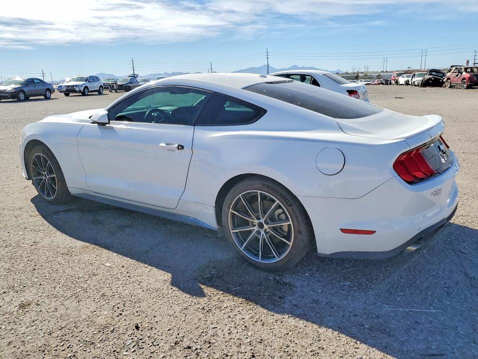 2019 Ford Mustang