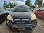 2007 Honda Cr-v exl