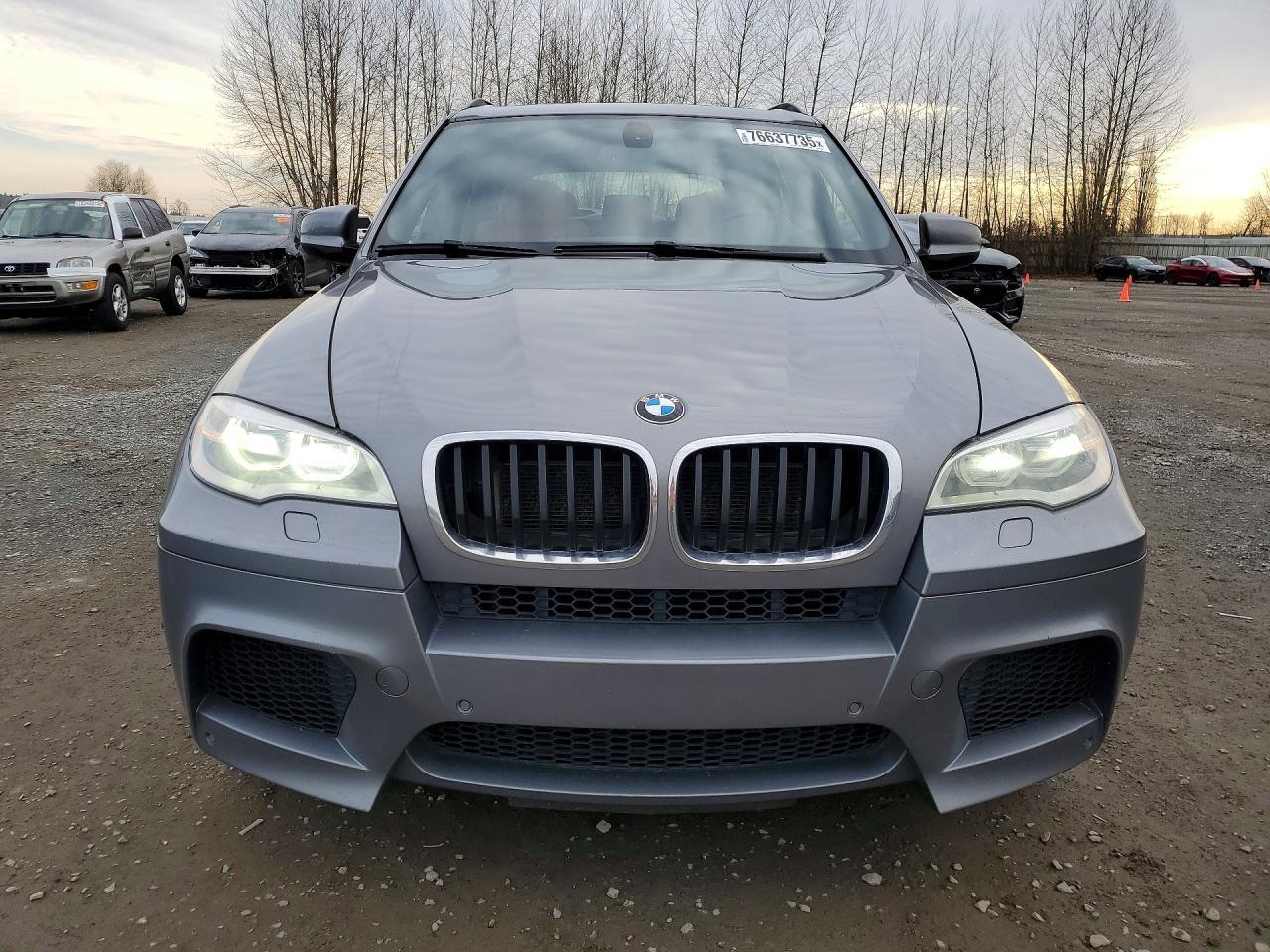 2013 BMW X5 m