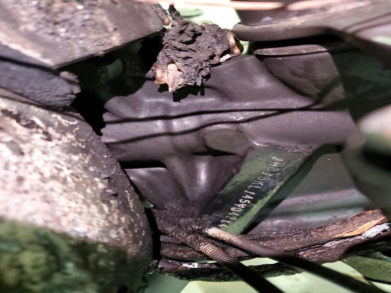 1995 Harley-Davidson Fxst Custom