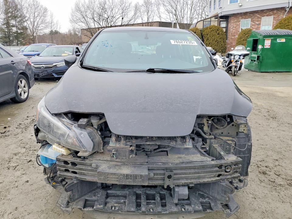 2019 Niss Leaf