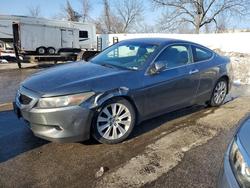 2010 Honda Accord exl for sale in Bridgeton, MO