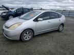 2005 Toyota Prius