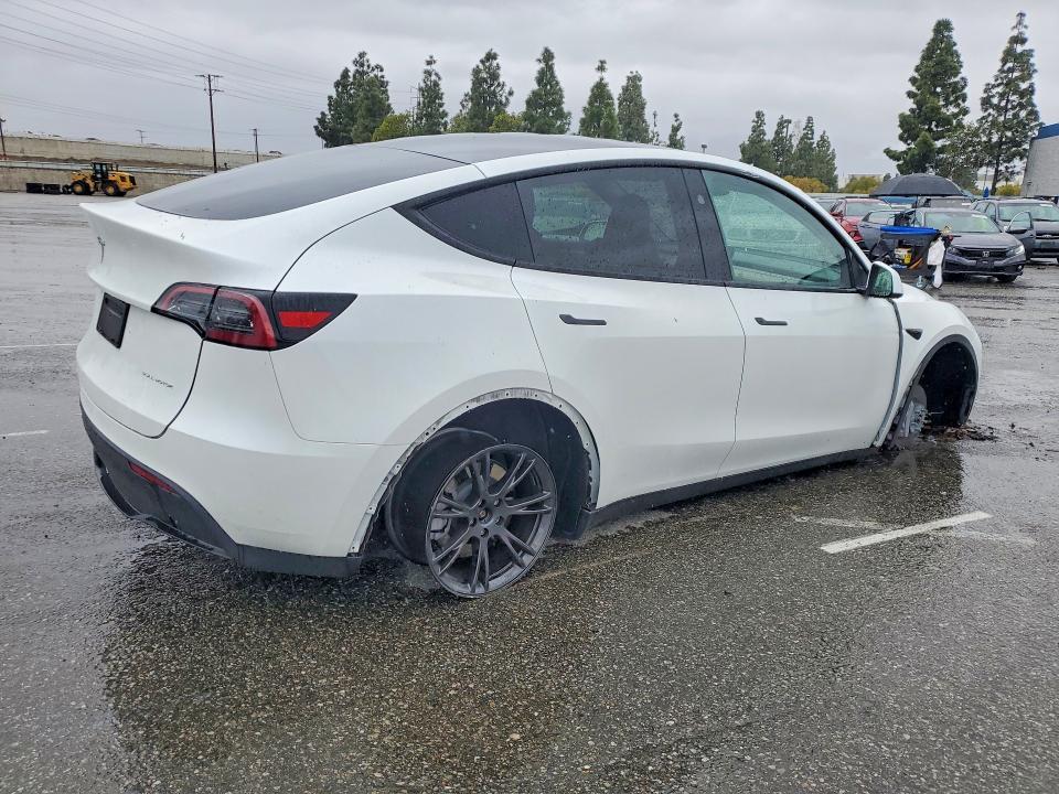 2025 Tesla Model y