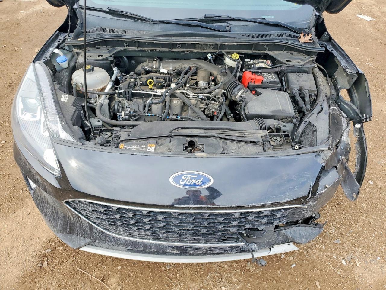 2020 Ford Escape sel