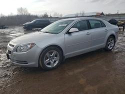 Chevrolet Malibu salvage cars for sale: 2009 Chevrolet Malibu 1LT