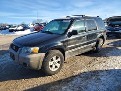 Ford Escape salvage cars for sale: 2007 Ford Escape xlt