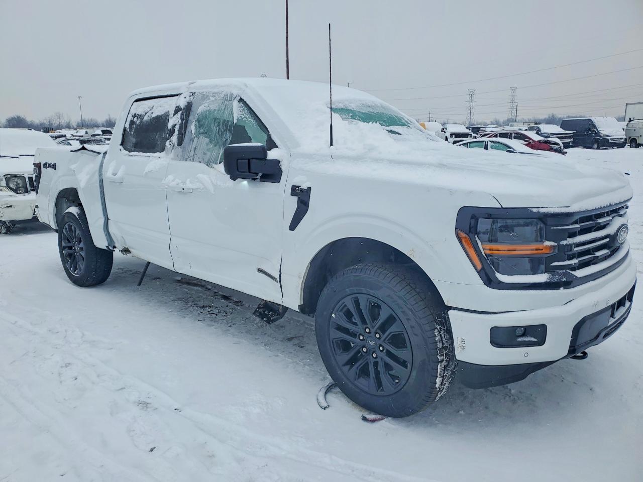 2025 Ford F150 xlt