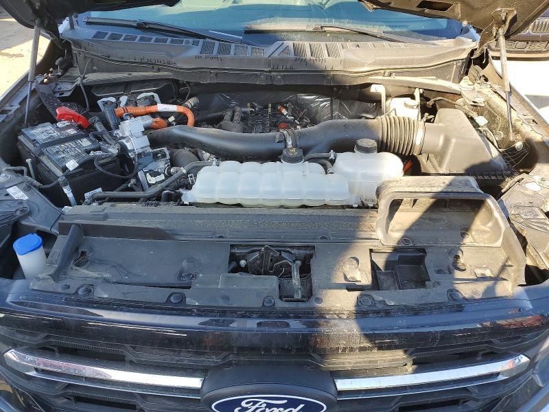 2025 Ford F150 xlt