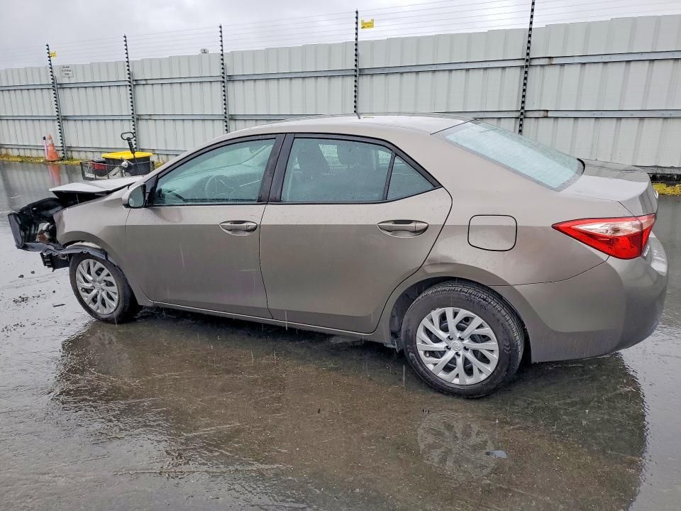 2019 Toyota Corolla l