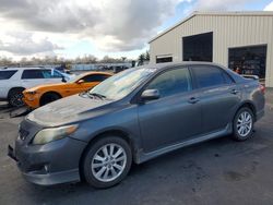 Salvage cars for sale from Copart Fresno, CA: 2010 Toyota Corolla Base
