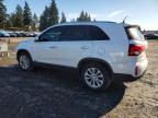 2014 KIA Sorento ex