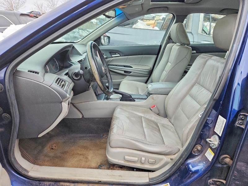 2010 Honda Accord exl