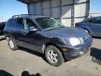 2004 Hyundai Santa fe gls
