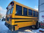 2019 Blue Bird School Bus / Transit Bus