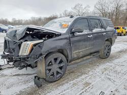 Cadillac Escalade salvage cars for sale: 2020 Cadillac Escalade Luxury