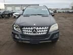 2009 Mercedes-Benz Ml 350
