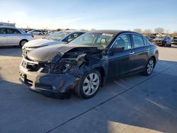 Honda salvage cars for sale: 2010 Honda Accord exl
