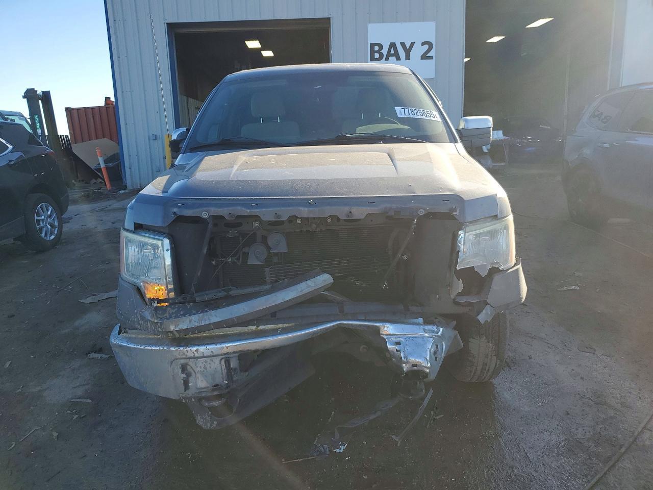 2009 Ford F150