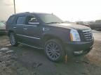 2007 Cadillac Escalade Luxury