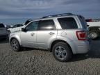 2010 Ford Escape Limited