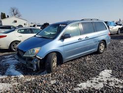 2005 Honda Odyssey exl for sale in Cicero, IN