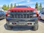 2019 Chevrolet Silverado K1500 Trail Boss Custom