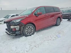 2023 Toyota Sienna xle for sale in Louisville, KY