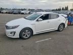 2014 KIA Optima Hybrid