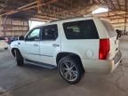 2009 Cadillac Escalade Luxury
