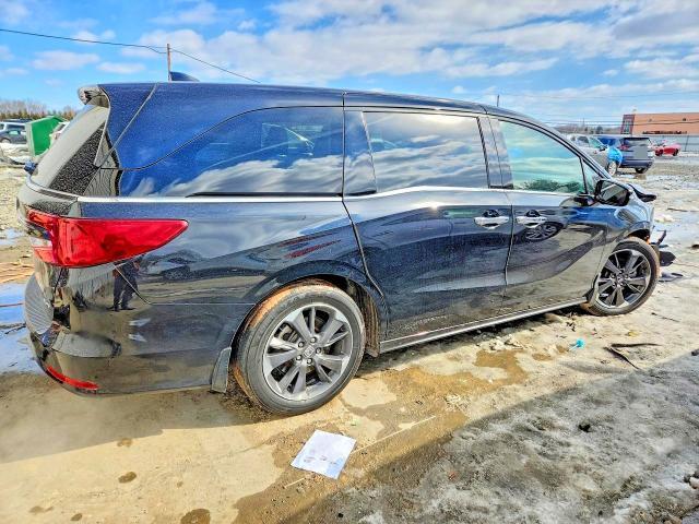 2024 Honda Odyssey Elite
