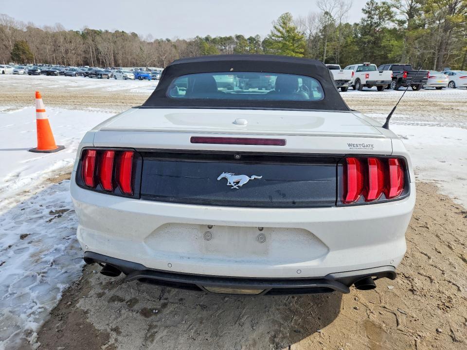 2019 Ford Mustang