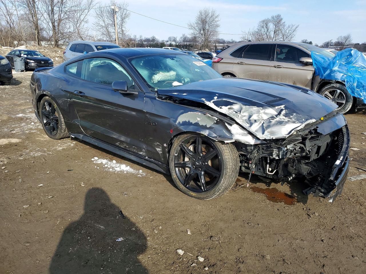 2019 Ford Mustang gt