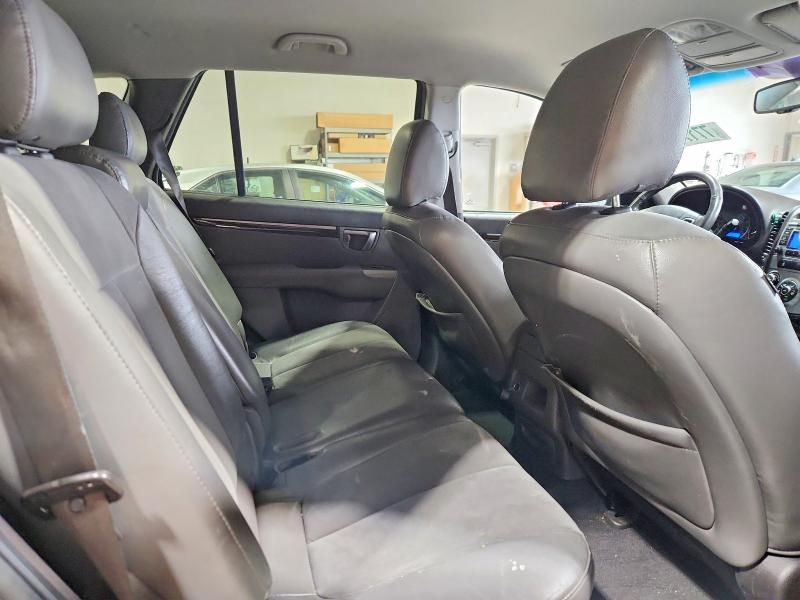 2010 Hyundai Santa fe se