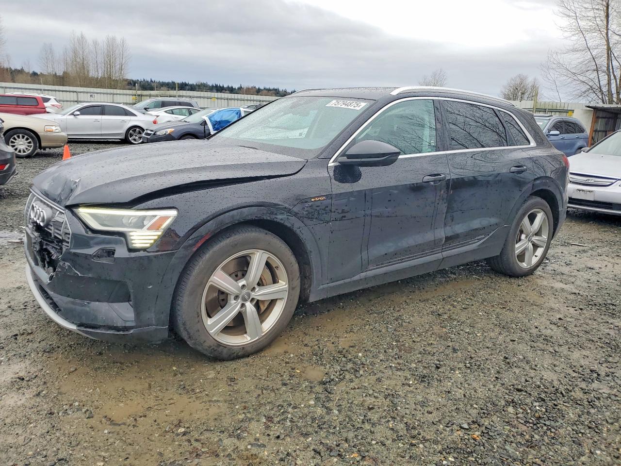 2019 Audi E-tron Premium Plus