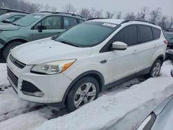 2014 Ford Escape se en venta en Marlboro, NY