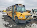 2009 Freigliner 2009 Freightliner B2 Bus Chassis School Bus
