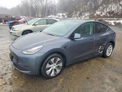 Tesla salvage cars for sale: 2022 Tesla Model y
