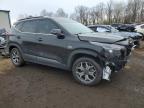 2023 KIA Seltos ex