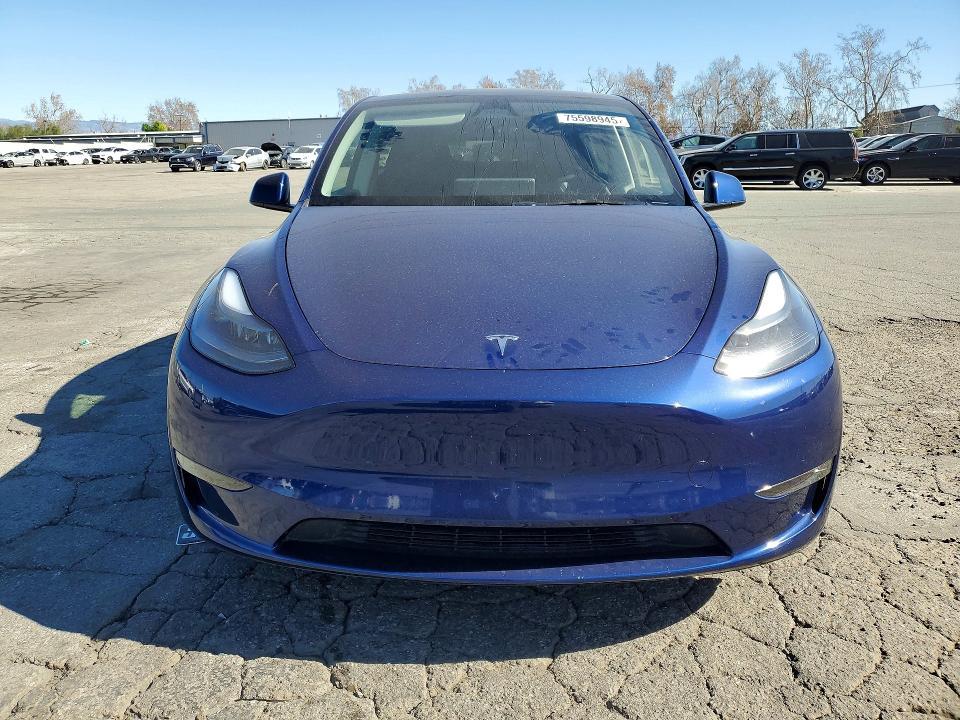 2025 Tesla Model y