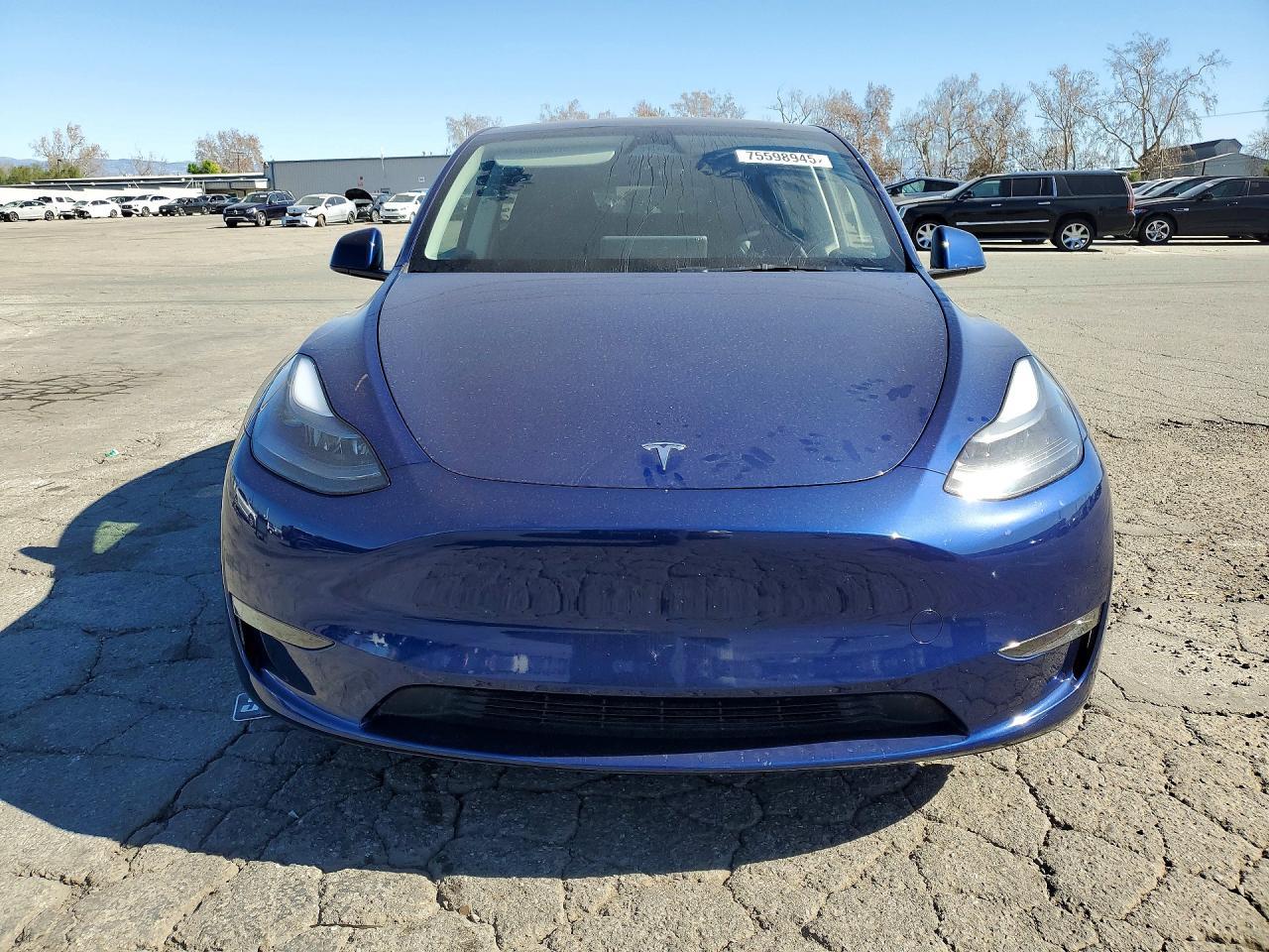 2025 Tesla Model y