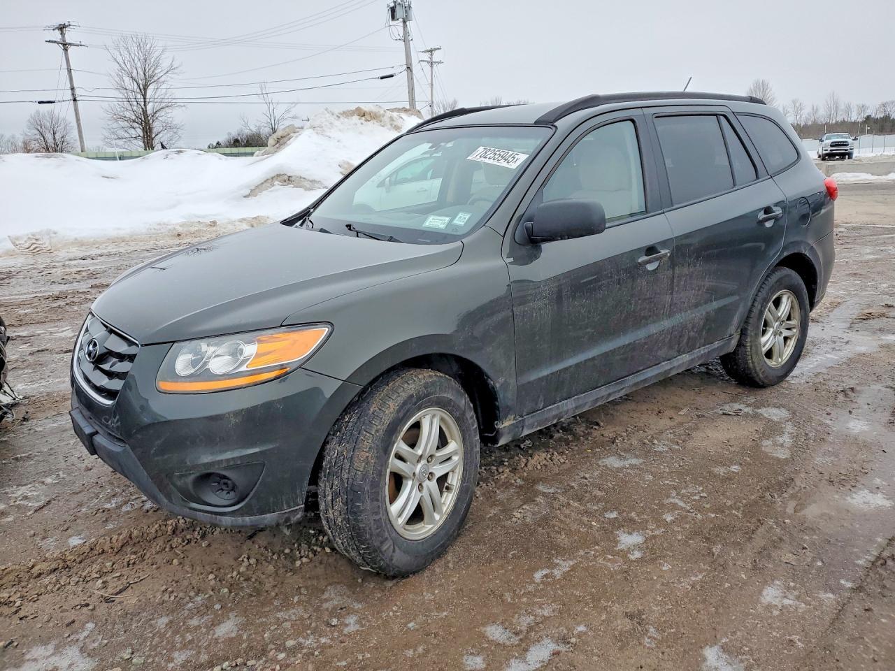 2010 Hyundai Santa fe gls