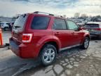 2010 Ford Escape Limited