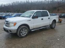 Ford Vehiculos salvage en venta: 2013 Ford F150 Supercrew