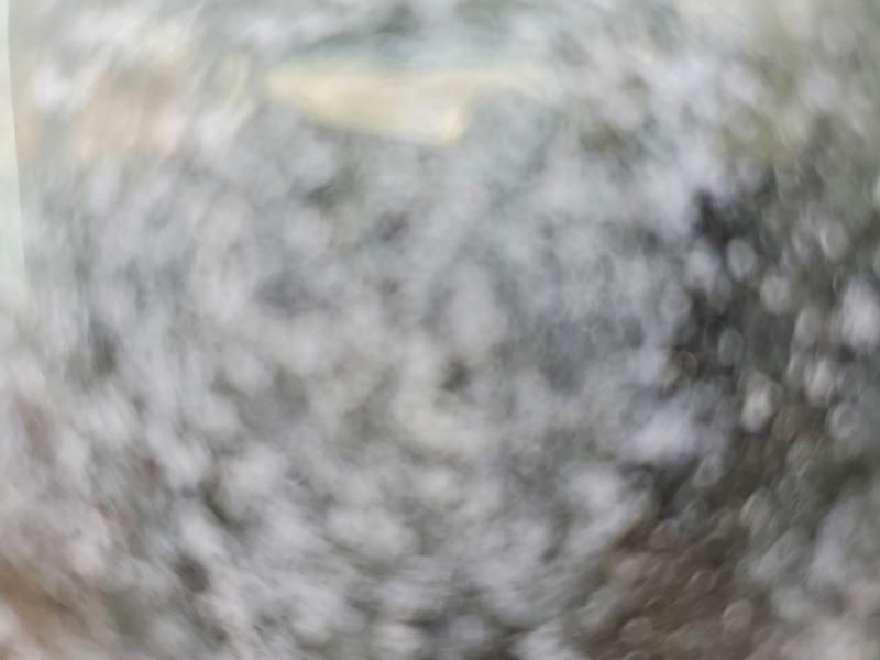 1997 Ford Club Wagon XL Super